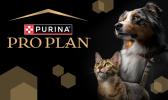 Purina Logo